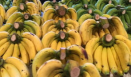 南体奥院吃瓜爆料,吃瓜爆料揭秘校园幕后故事